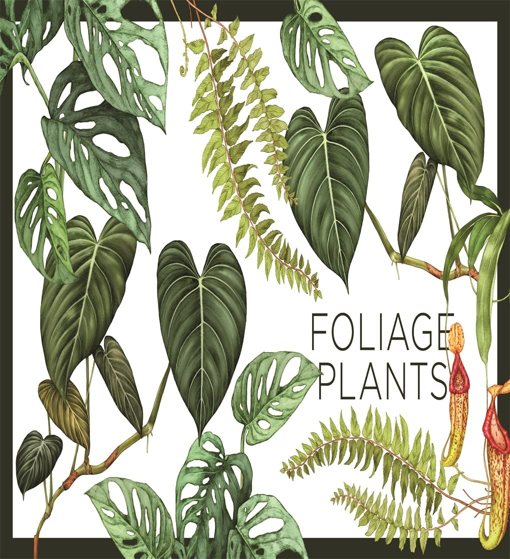 Plantopedia: the Definitive Guide to Houseplants