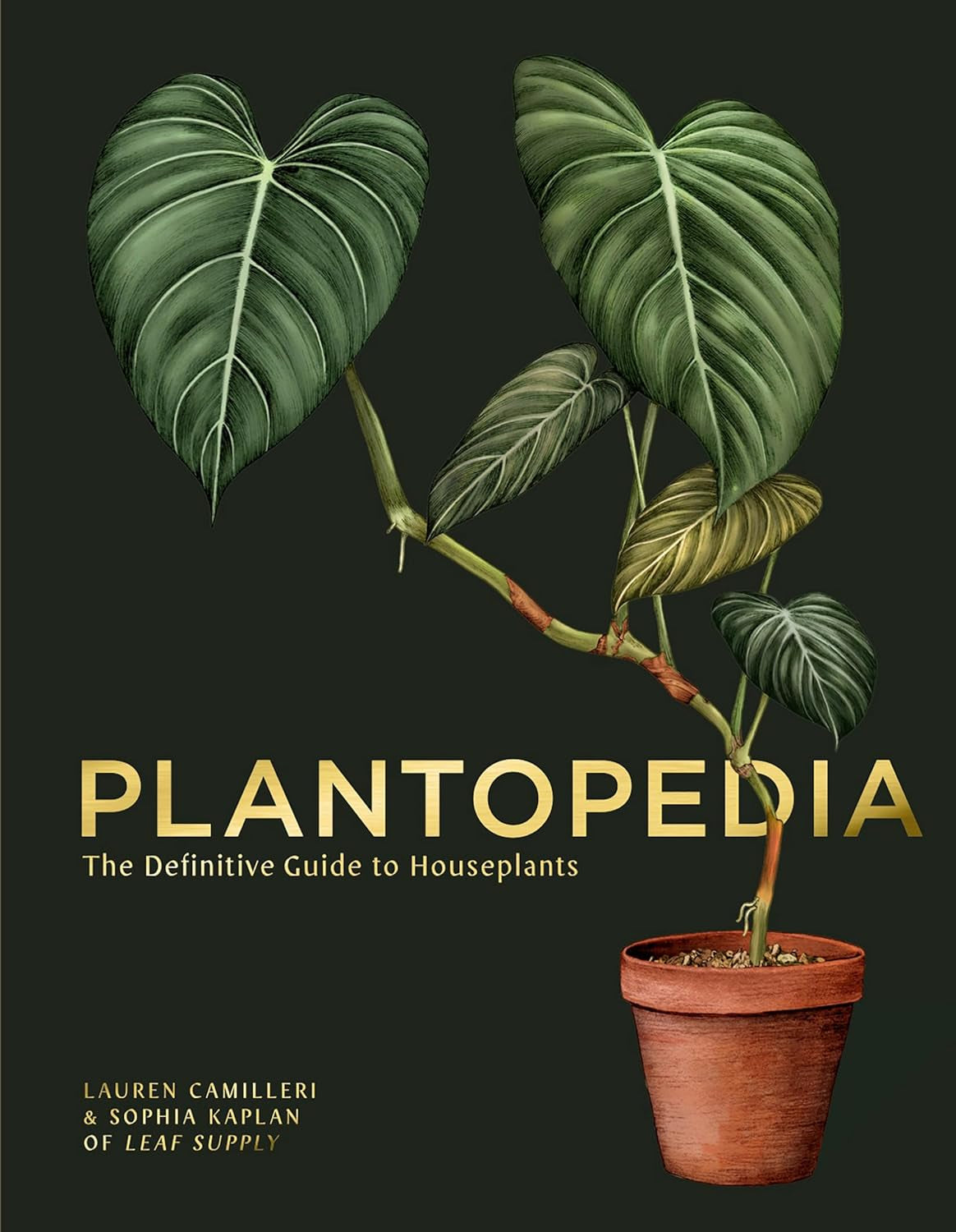 Plantopedia: the Definitive Guide to Houseplants