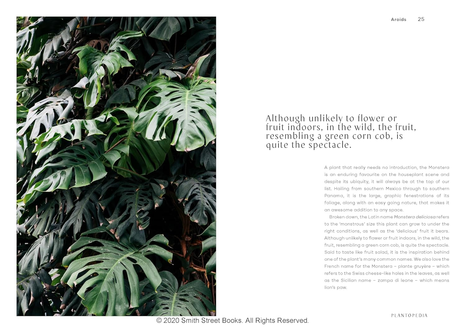 Plantopedia: the Definitive Guide to Houseplants
