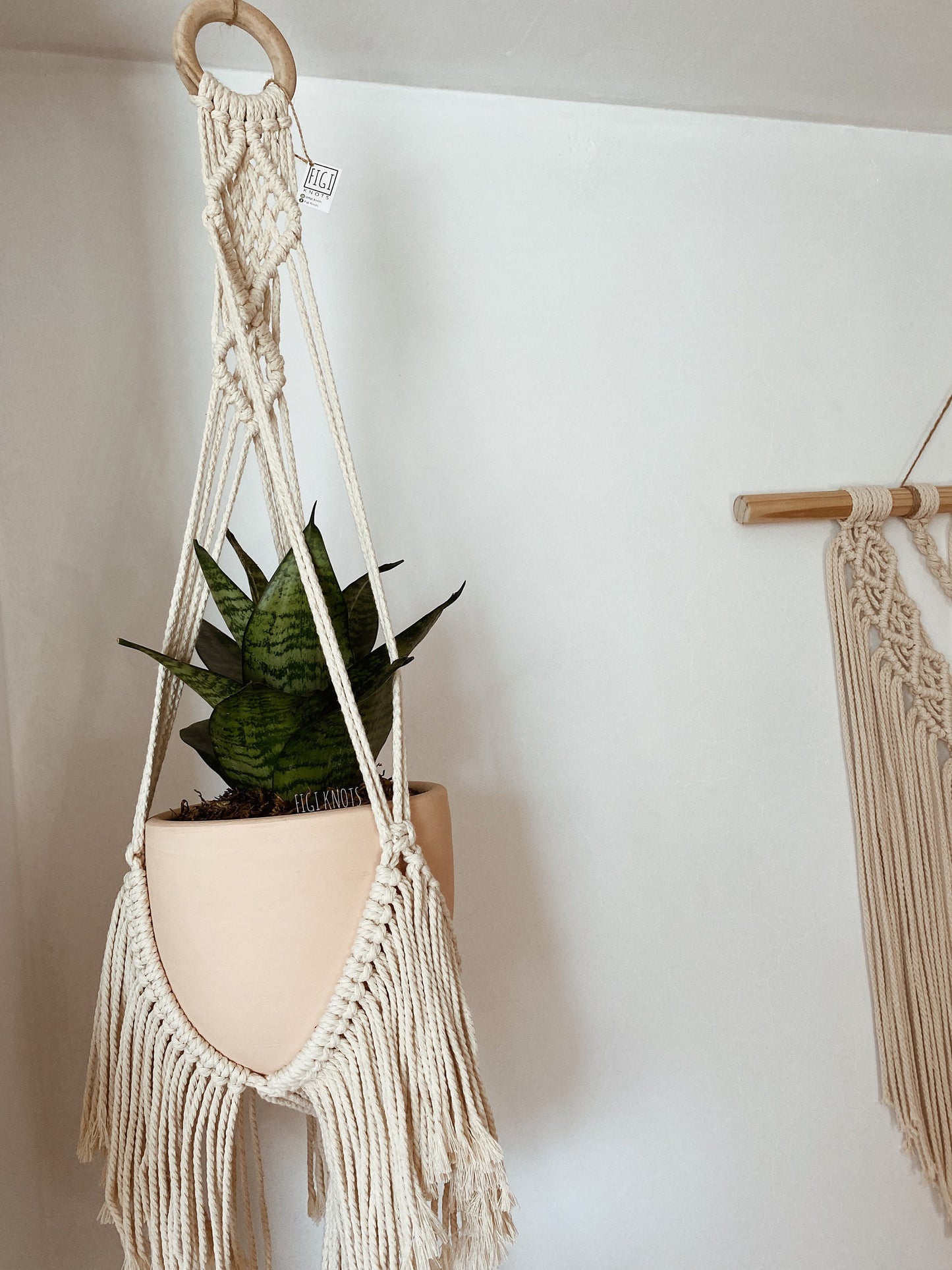 Macrame Double Plant Hanger